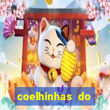 coelhinhas do brasil acompanhantes